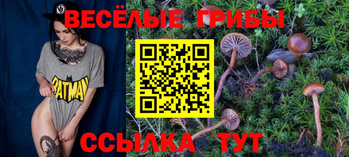 Канск  Галлюциногенные грибы мицелий  Вход с VPN 